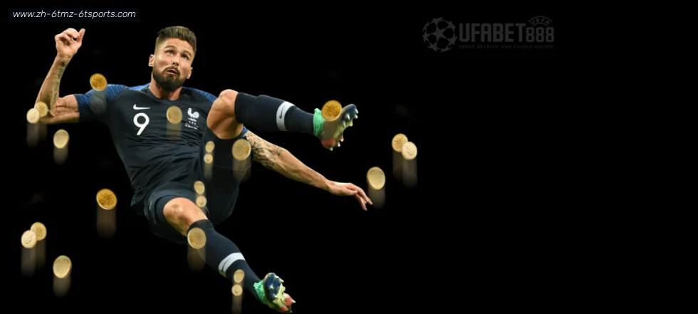 6T体育 banner